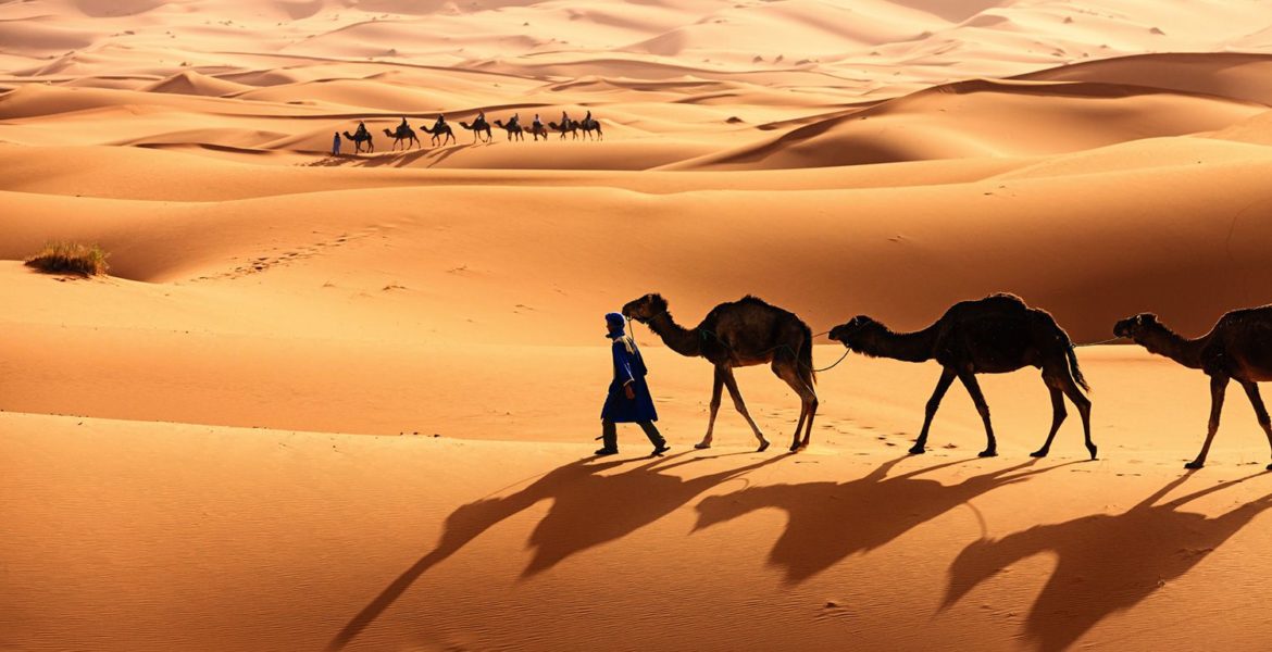 desert du sahara tunisie