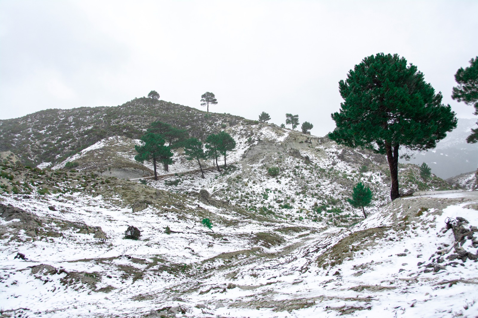 Hiver-Tunisie